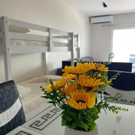 Ohana Penthouse شقة